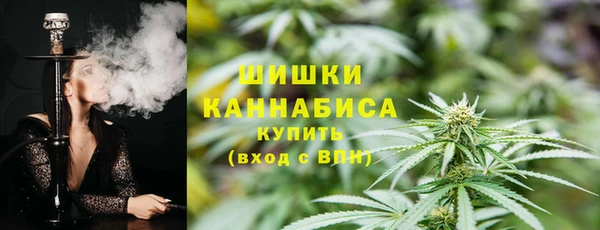стаф Богородск
