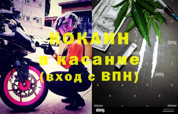 стаф Богородск