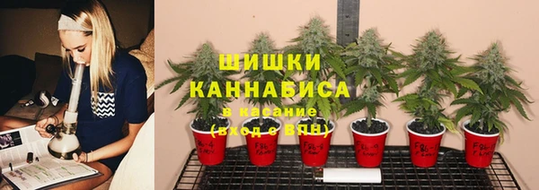 spice Бугульма